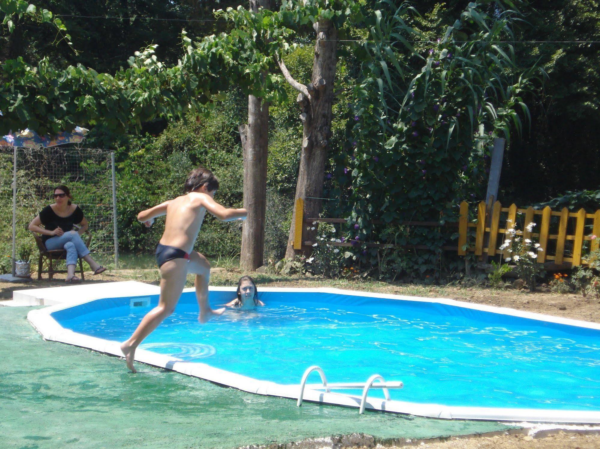 Georgina Family 2* Mesongí